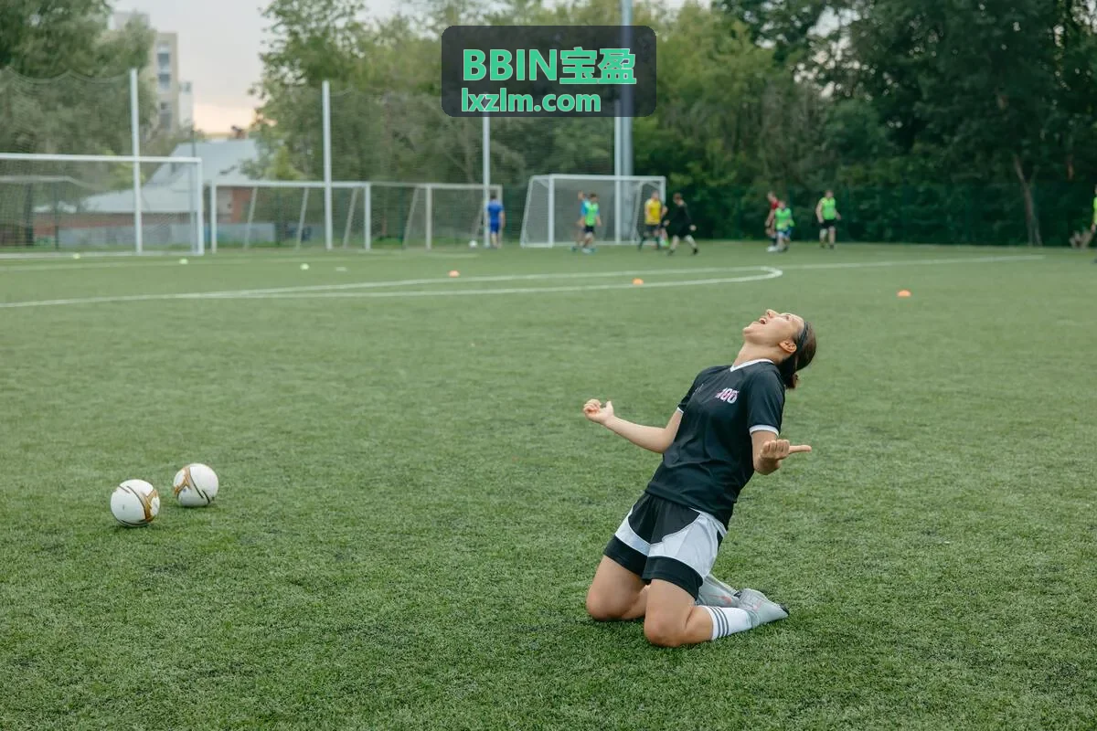BBIN宝盈安全风控模块