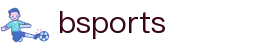 bsports(中国)B—sports登录入口